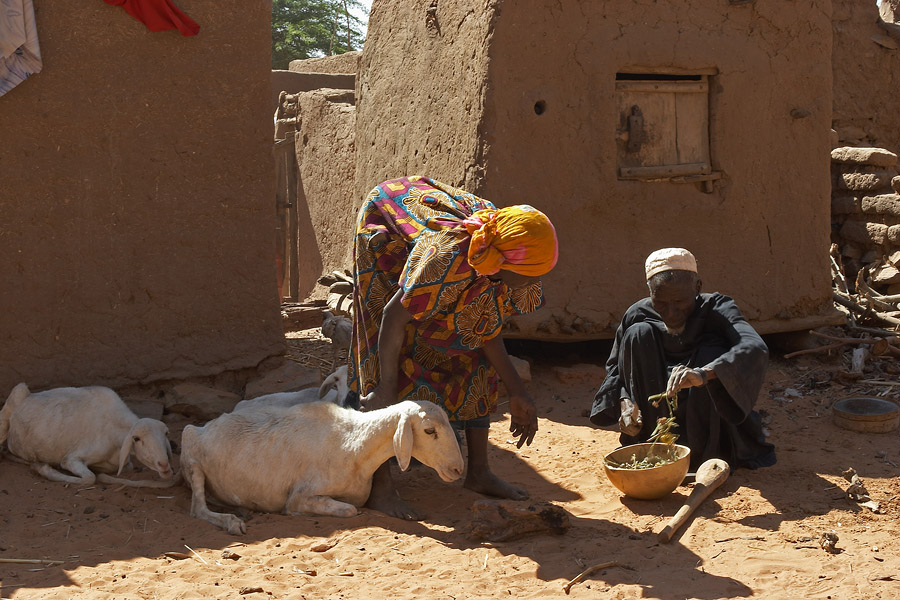 60   Village life Teli